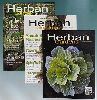 Screenshot 2025-10-26 112548